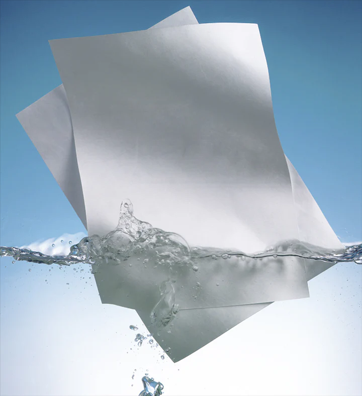 PET Synthetic Paper.mp4