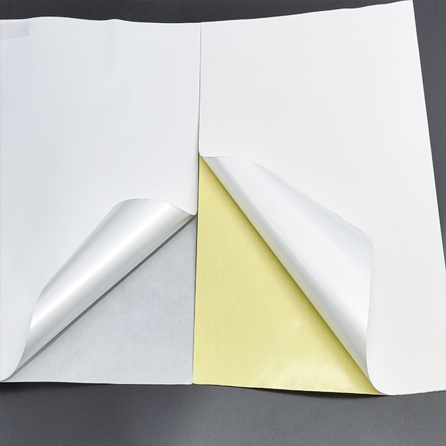 PP self-adhesive sheet showing premium release liner peeling, strong adhesion, and smooth surface for labels.