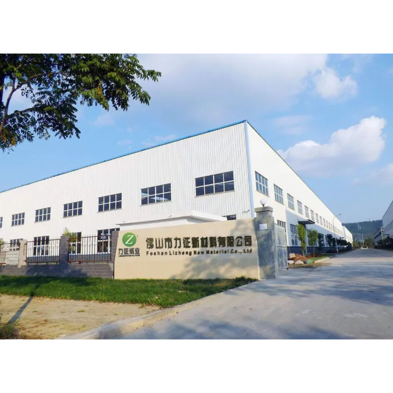 Modern synthetic paper factory exterior view with 30 years manufacturing experience 